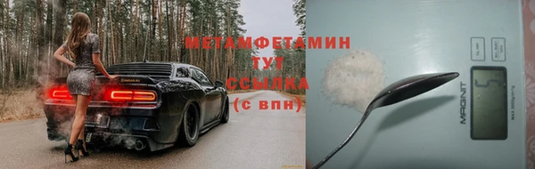 шишки Верхний Тагил